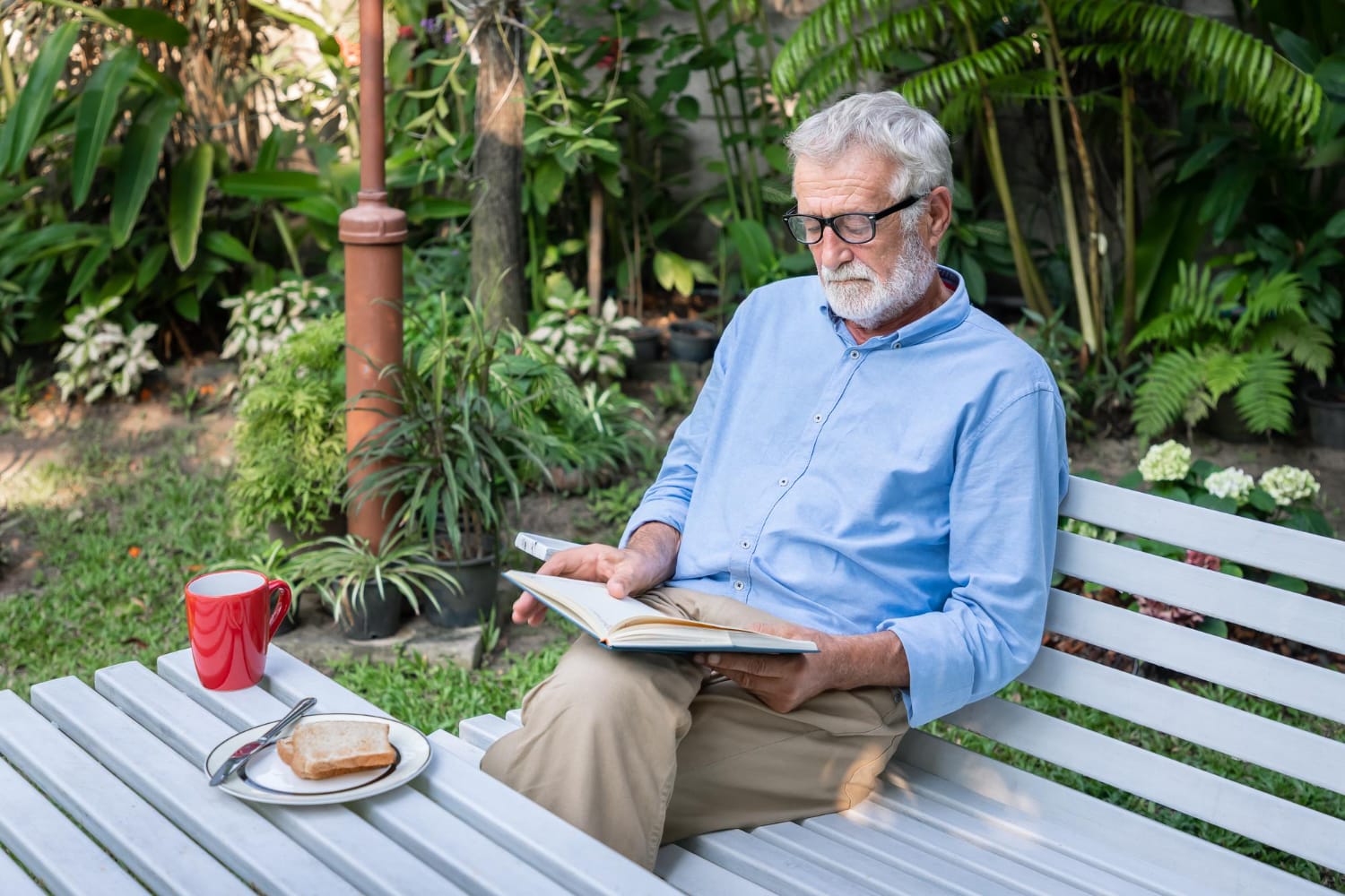 An elderly man with a white beard and glasses sits on a white bench in a garden, reading a book next to a red mug and a plate with toast.