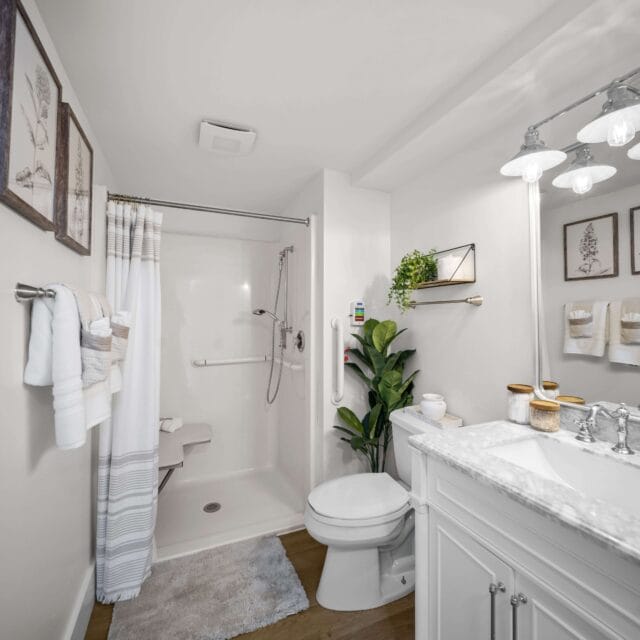 Gallery image 9